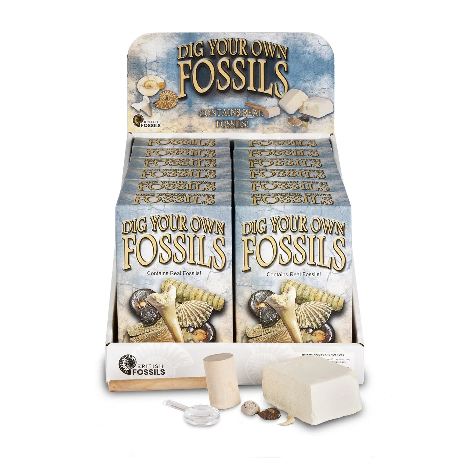 Dig Your Own Fossils Pack Large