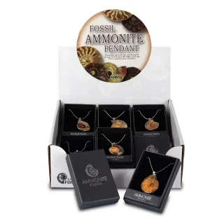 Fossil Ammonite Pendant Pack