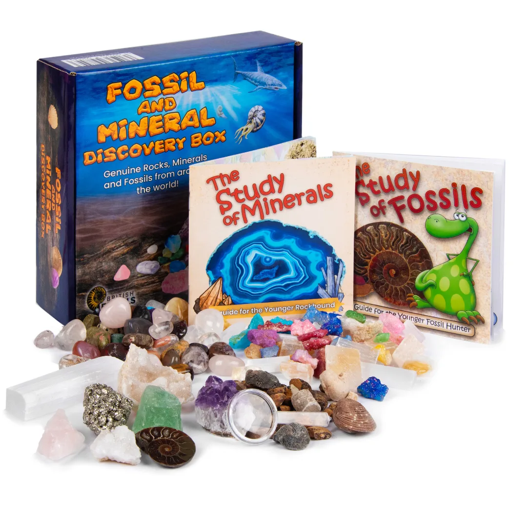 Fossil & Mineral Discovery Kit