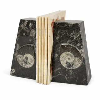 Small Goniatite Bookends