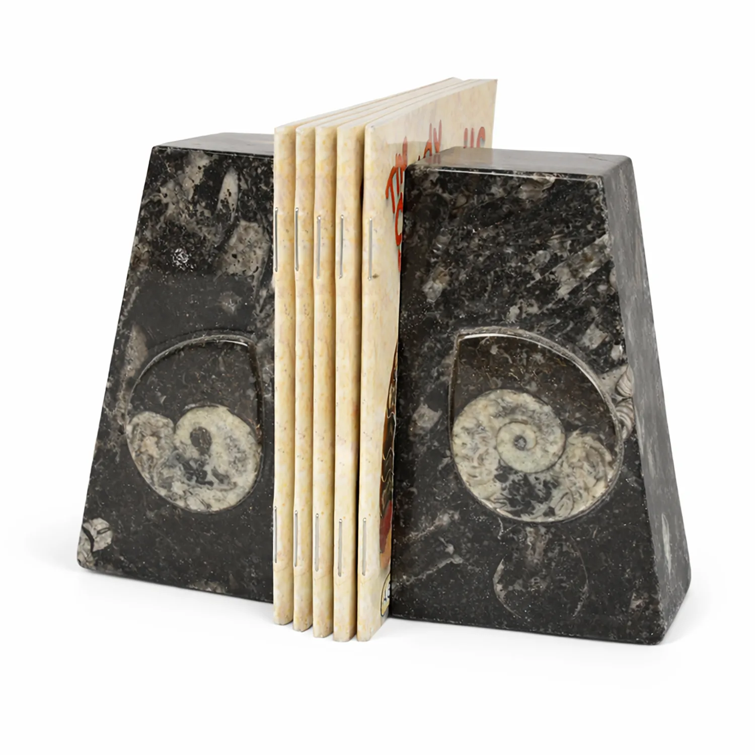 Small Goniatite Bookends