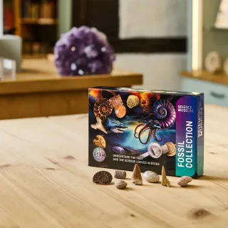 Science Museum Fossil Collection Kit — sm fossil collection kit 1500x1500 1