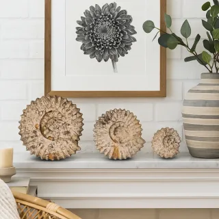 Carved Fossilstone Ammonites — fossilstone ammonites in situ