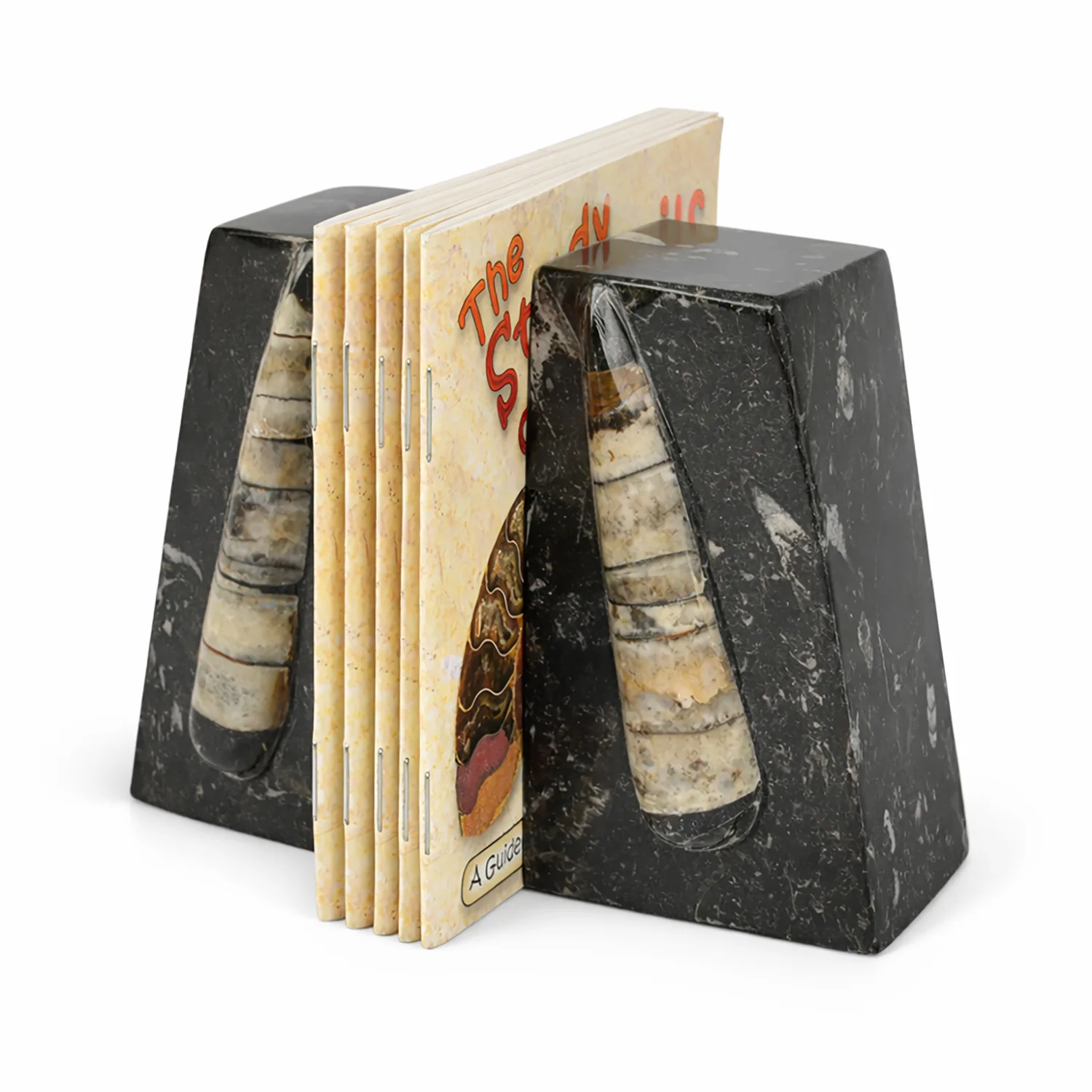 Small Orthoceras Bookends