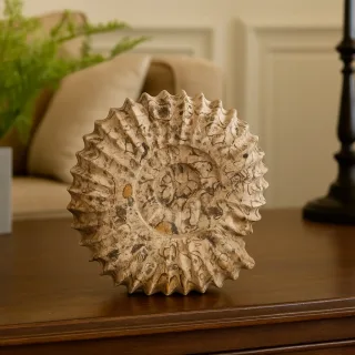 Carved Fossilstone Ammonites — finishing shots 1