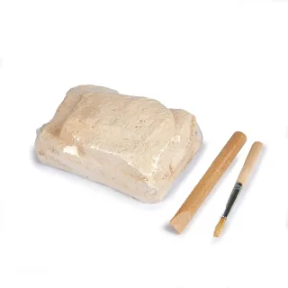Dig Your Own Fossils Pack Large — dig your own fossils 2