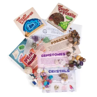 Fossil & Mineral Discovery Kit — untitled design 5.png