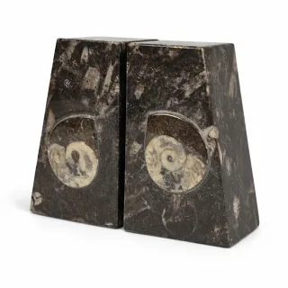 Small Goniatite Bookends (view 2)