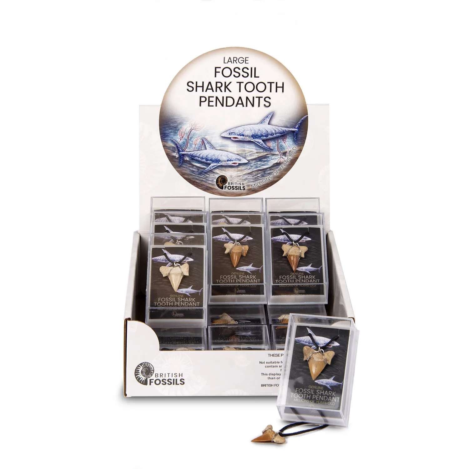 Large Fossil Shark Tooth Pendant Pack