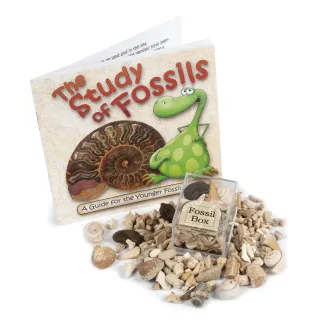 Mini Fossil Box Pack — mini fossil box pack 1
