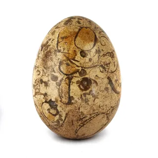 2" Mixed Marble Egg Pack — 3 mixed marble eggs fossilstone