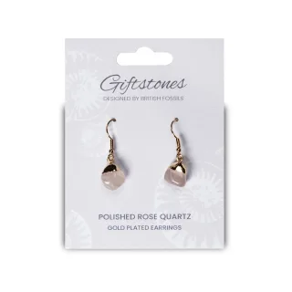 Giftstones Earrings (view 2)