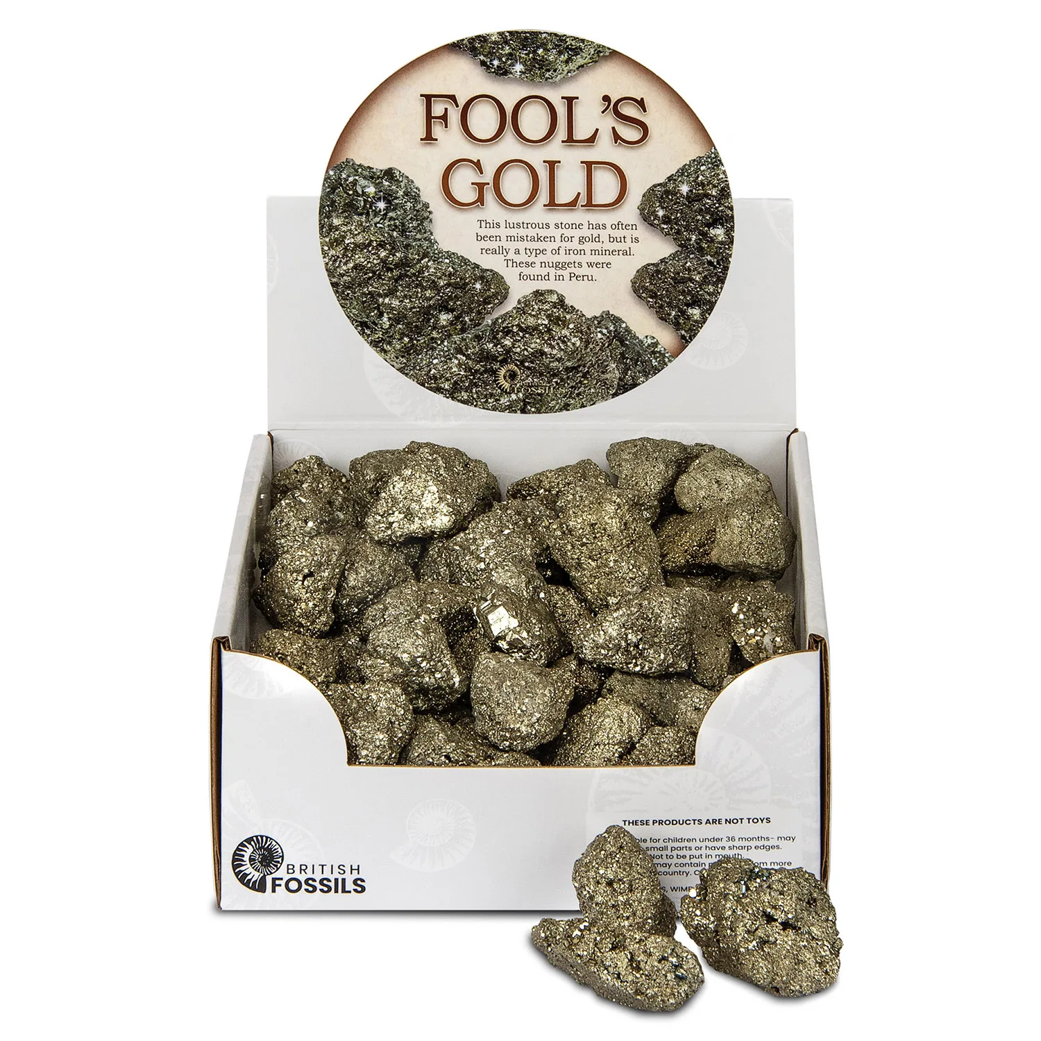 Fool's Gold (Pyrite)