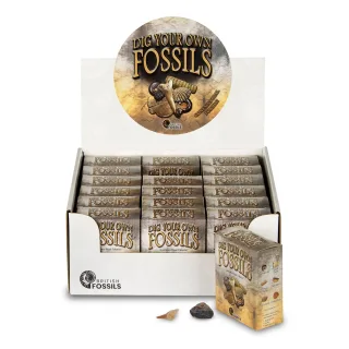 Dig Your Own Fossils Pack