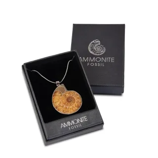 Fossil Ammonite Pendant Pack — fossil ammonite pendant