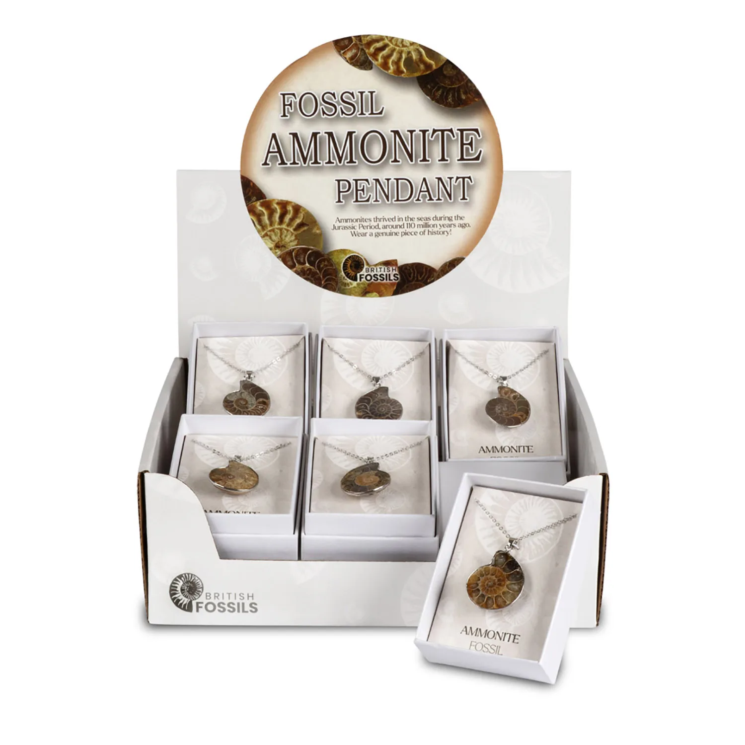 Small Fossil Ammonite Pendant Pack