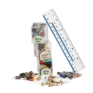 Mini Fossil Box Pack — amazon pk169 pk170 pk171