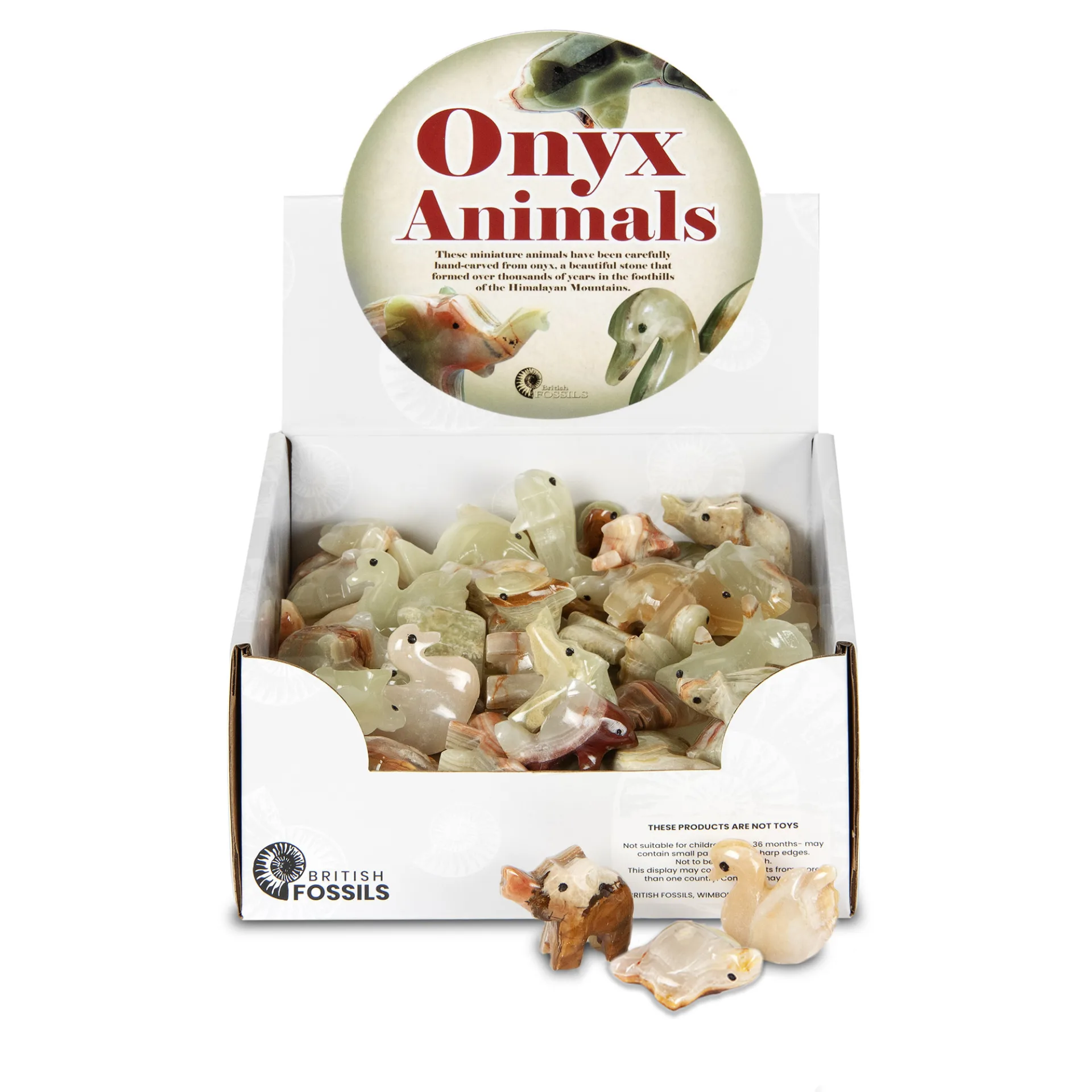 Mini Onyx Animal Pack