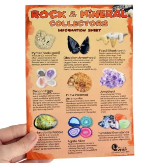 Basketline Information Cards — basketline information card 2