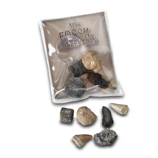 Fossil Magnifier Bag Pack — fossil magnifier bag copy 2