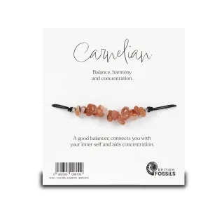 Natural Elements Bracelet Pack — natural elements bracelet carnelian copy 2 1