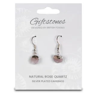 Giftstones Earrings