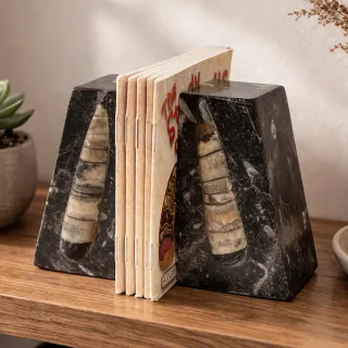 Small Orthoceras Bookends (view 4)