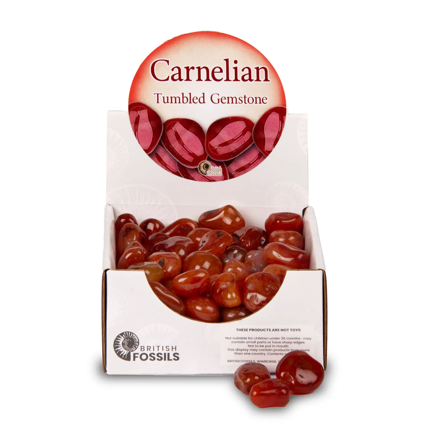 Carnelian Tumbled Gemstones Pack