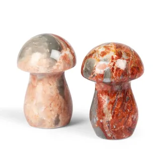 Mixed Marble Mushrooms — 5268