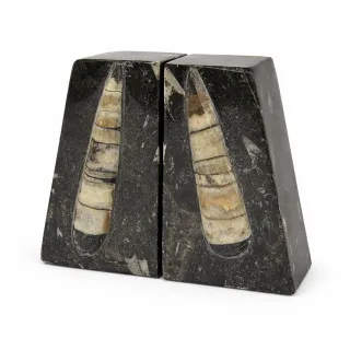 Small Orthoceras Bookends (view 2)
