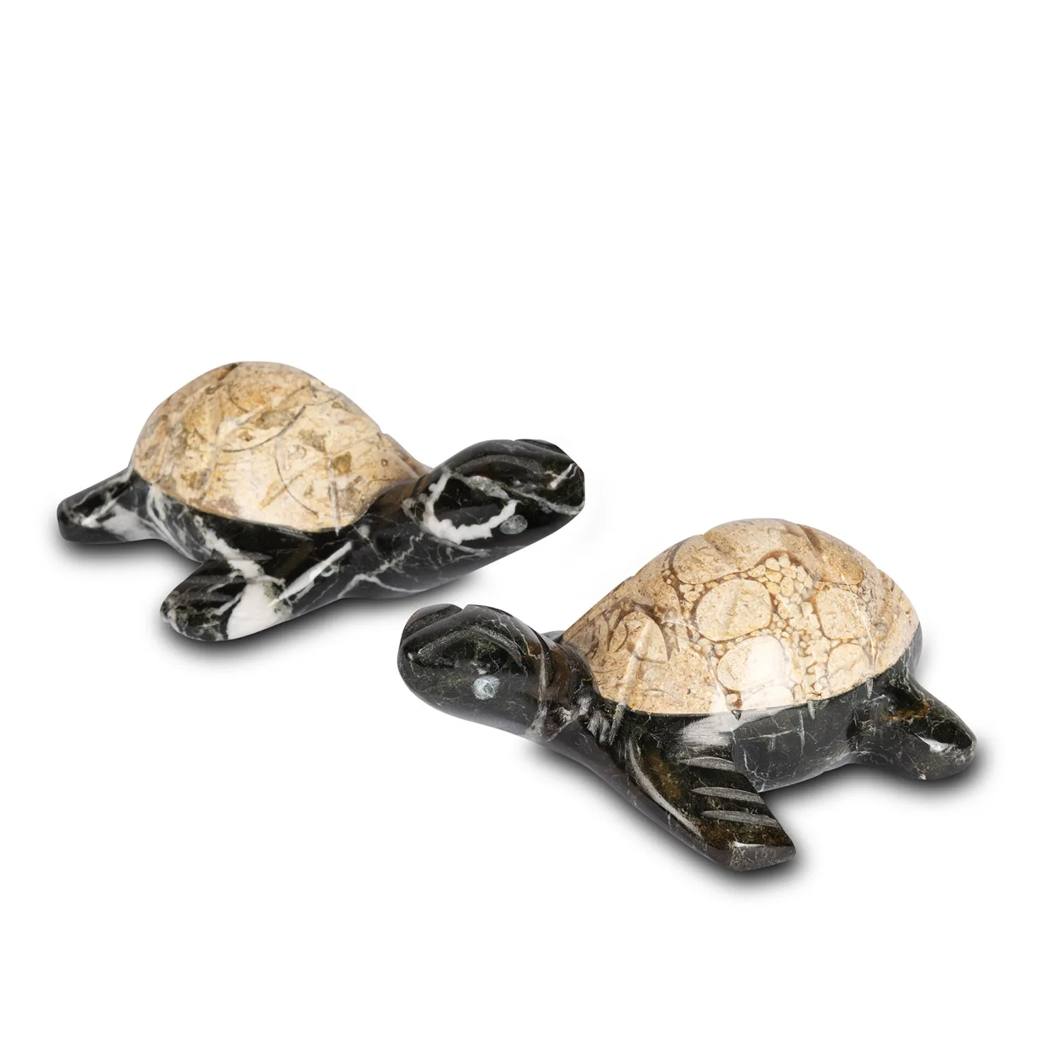 3" Two Tone Marble Turtle