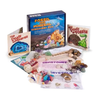 Fossil & Mineral Discovery Kit — untitled design 9.png