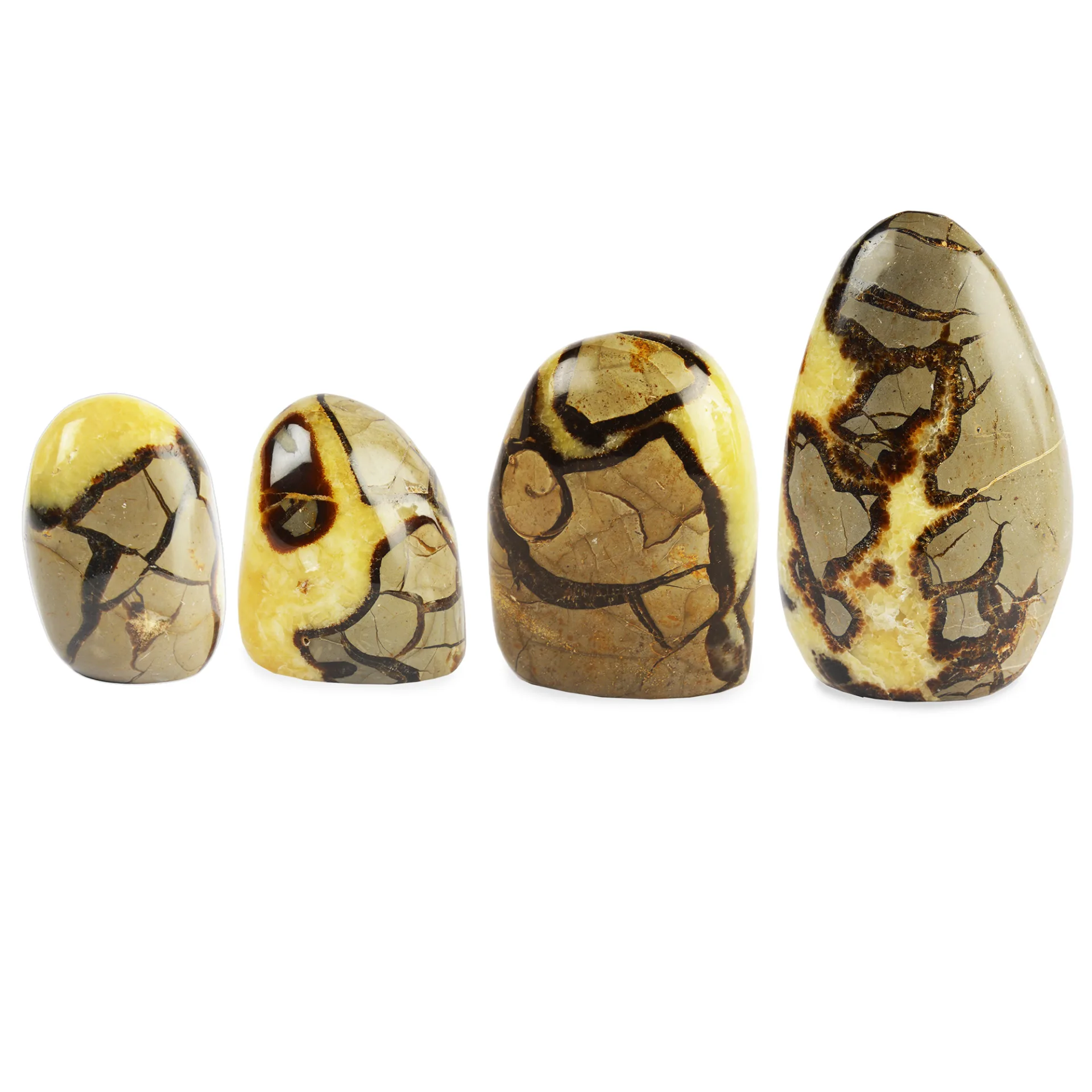Free Form Septaria- 51% Off