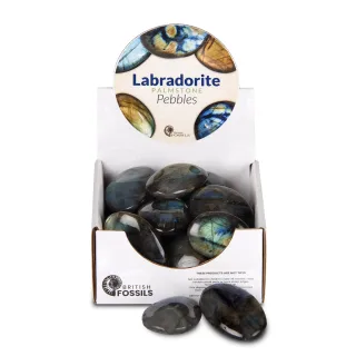 Labradorite Palmstone Pack