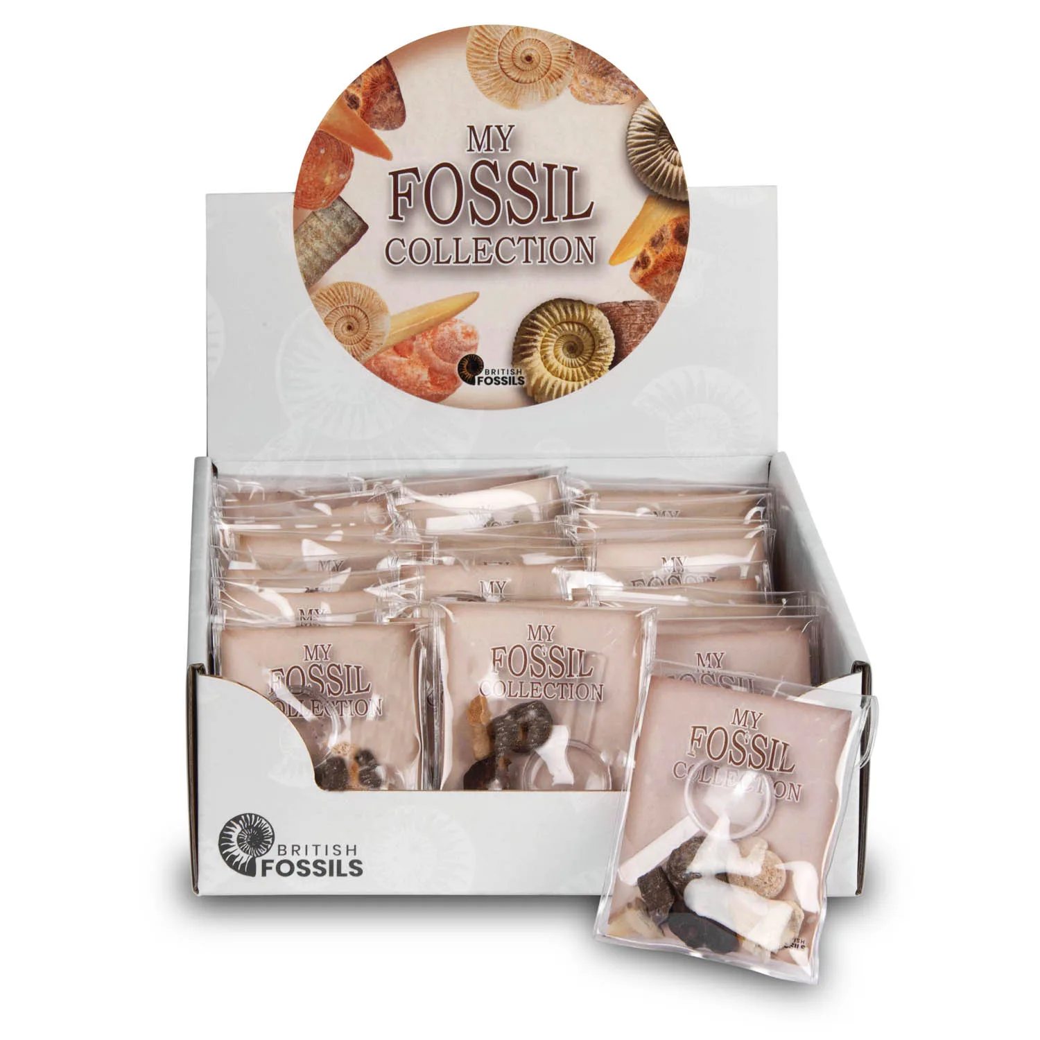 Fossil Magnifier Bag Pack
