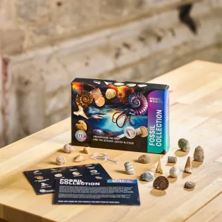 Science Museum Fossil Collection Kit — sm fossil collection kit 2 1500x1500 1