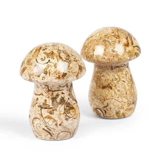 Mixed Marble Mushrooms — 5258