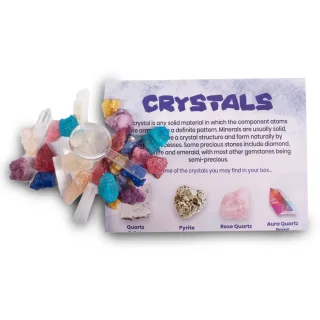 Fossil & Mineral Discovery Kit — untitled design 6.png
