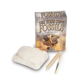 Dig Your Own Fossils Pack — dig your own fossils 1
